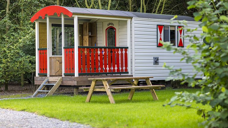 Stoere pipowagen op een gezellige camping - 1