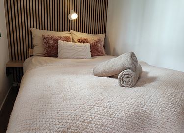Logement de vacances à Drenthe avec jacuzzi privé - 21