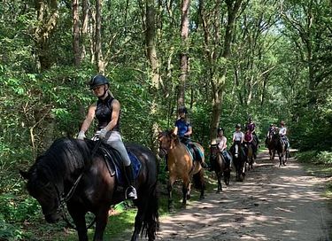 Gemütliches Ferienhaus in der Landschaft von Drenthe - 32