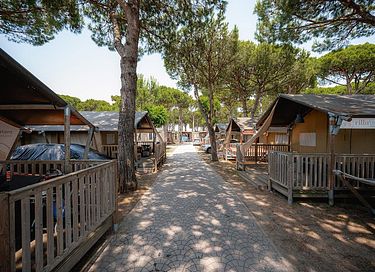 Glampingtent aan het strand met sanitair - 6