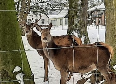 Enjoy peace and nature at a country estate - 25