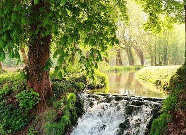 Luxury B&B in beautiful park near Brussels - 19
