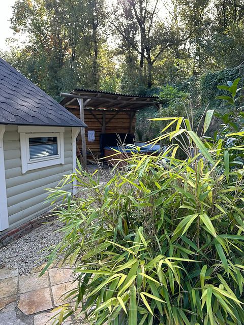 Luxury forest cabin with private jacuzzi - 4