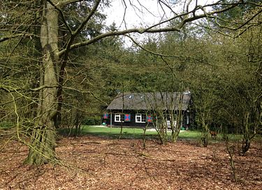 Knus boshuisje midden in de Veluwe - 21