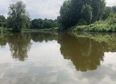 Uniek tiny house met hottub aan het water - 5