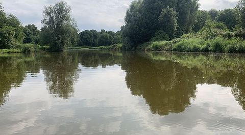Uniek tiny house met hottub aan het water - 5