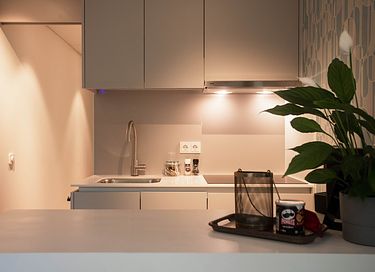 Luxe omgebouwde zeecontainer in het bos - 3