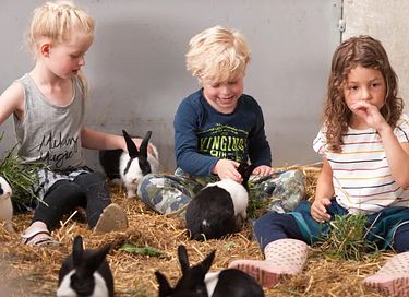 Glamping auf der Dairy & Calf Farm - 11