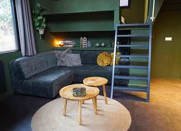 Knus tiny house (4p) op park in de bossen - 3