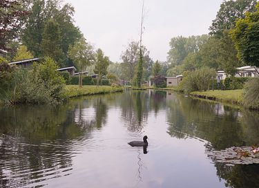 5-person lodge with infrared cabin - 10