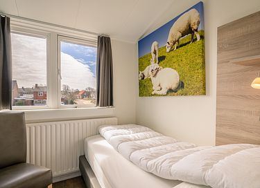 Ruim huis met omheinde tuin (hondvriendelijk) - 14