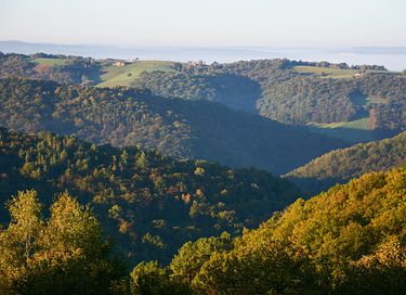 Se détendre et profiter de la nature en France - 3
