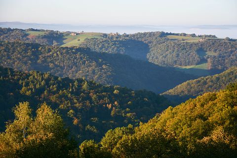Se détendre et profiter de la nature en France - 3