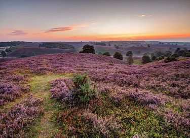 Uniek huis in een ruïne naast De Hoge Veluwe - 16