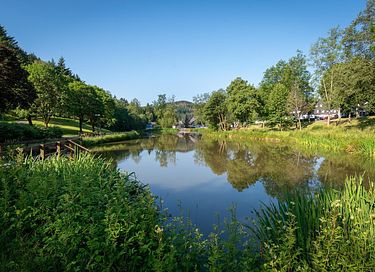 Logement de vacances de luxe dans un ancien moulin à eau - 40