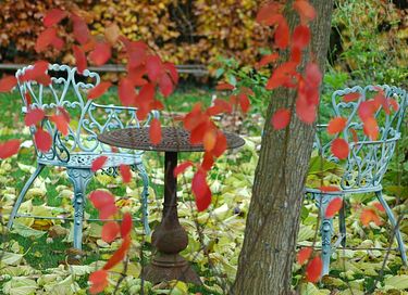 Cozy and romantic circus wagon - 44