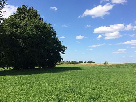 Prachtige lodge in de Belgische natuur - 5