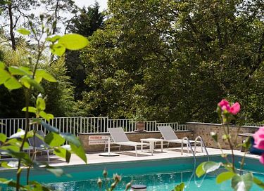 13th century castle in the Loire Valley - 15