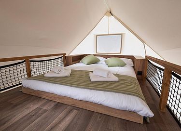 Nice glamping tent in the Utrecht woods - 7