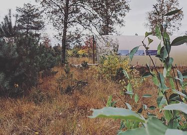 Design tent op de Veluwe voor 5 personen - 4