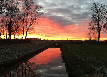 B&B tussen de weilanden bij Zwolle - 3