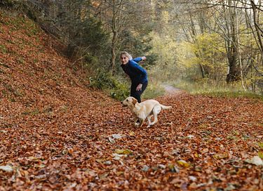 Cozy forest cabin in the Ardennes, dogs welcome - 14