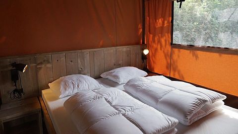 Luxe kamperen op de Veluwe met 5 personen - 5
