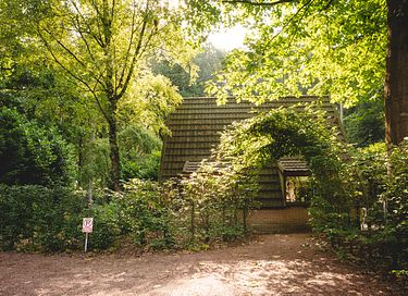 Maison dans la forêt pour 6 personnes - 31