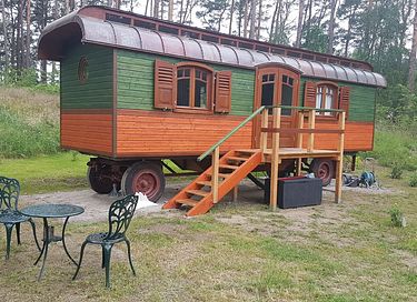 Circus wagon in a forest clearing