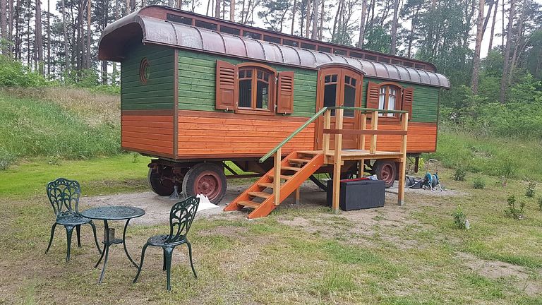 Circuswagen op een open plek in het bos - 1