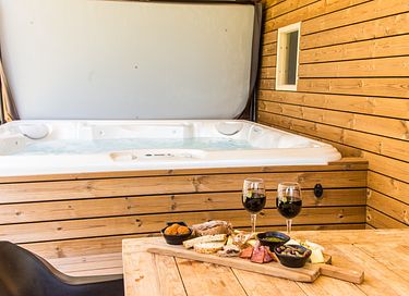 Wellness vacation villa in Limburg - 6