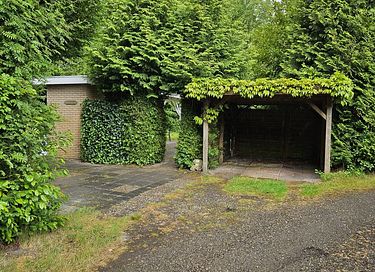 Dog-friendly forest cabin with privacy - 19