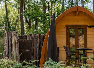 Gemütliche Hütte mit Außendusche im Wald - 3