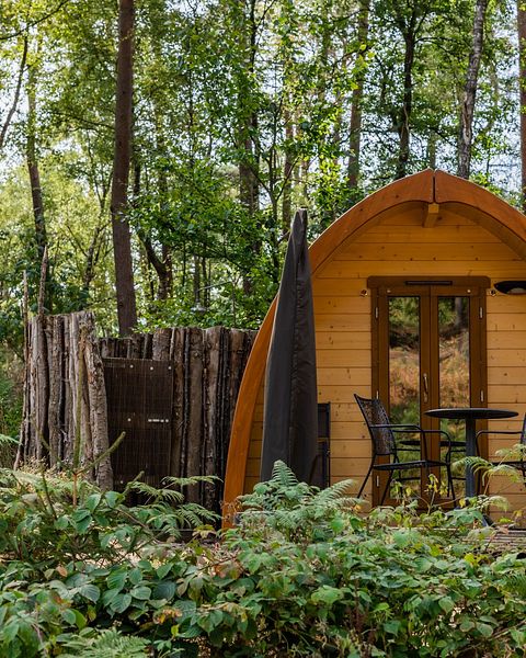 Gemütliche Hütte mit Außendusche im Wald - 3