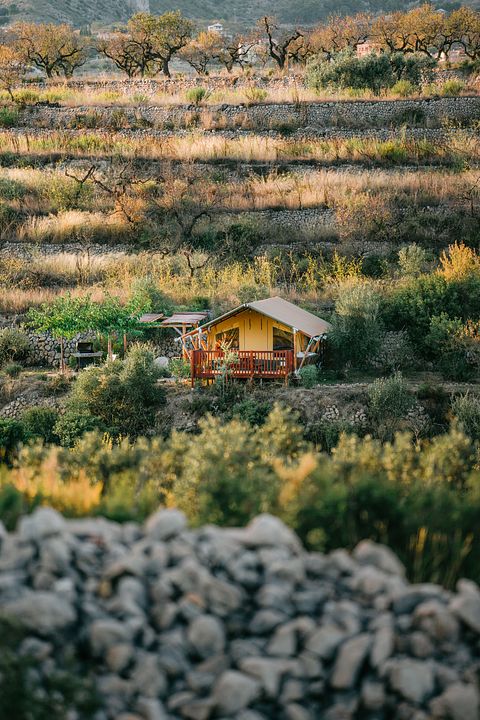 Prachtig gelegen luxe glamping safaritent  - 2