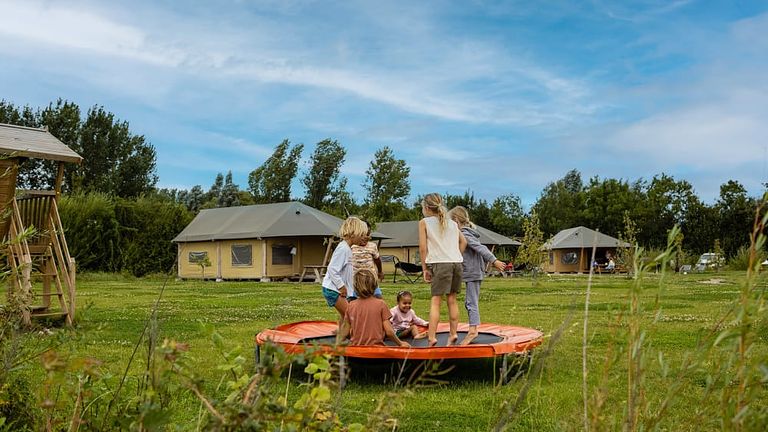 Glamping op akkerbouw en speelboerderij - 1