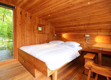 Unique cabin in the Veluwe (4p) - 5