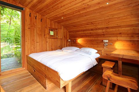 Unique cabin in the Veluwe (4p) - 5