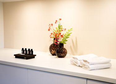 Romantisch verblijf met privé wellness - 11