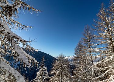 Vakantiehuis (hond toegestaan) in Sauerland - 26
