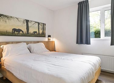 8-persoons vakantiewoning met vissteiger - 12