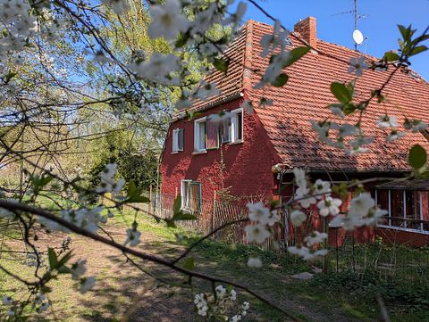 Attractive natural house for 4 people - 2
