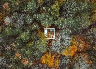 Tour de couchage unique (8 mètres) dans la forêt - 19