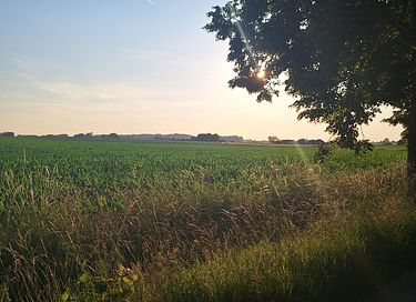 Catch your breath in the Flemish Ardennes - 27