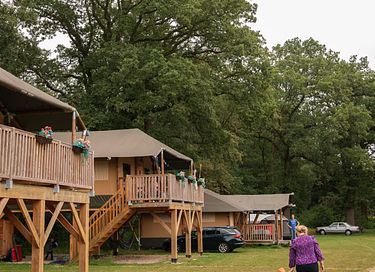 Glamping tent (6p) op hoogte - 2