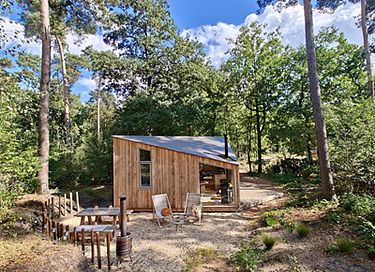 Cozy tiny house in nature in Twente - 27