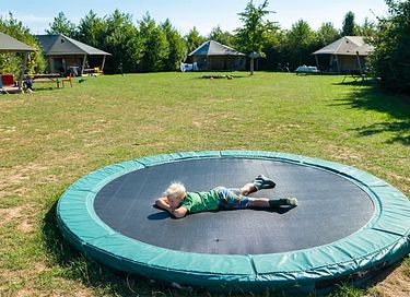 Glamping auf der Dairy & Calf Farm - 21