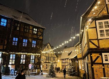 Gîte naturel près du parc naturel du Harz - 18