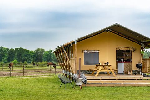 Glamping op een paardenboerderij - 3