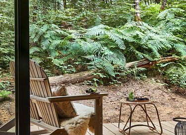 Beautiful forest cabin in small vacation park - 18